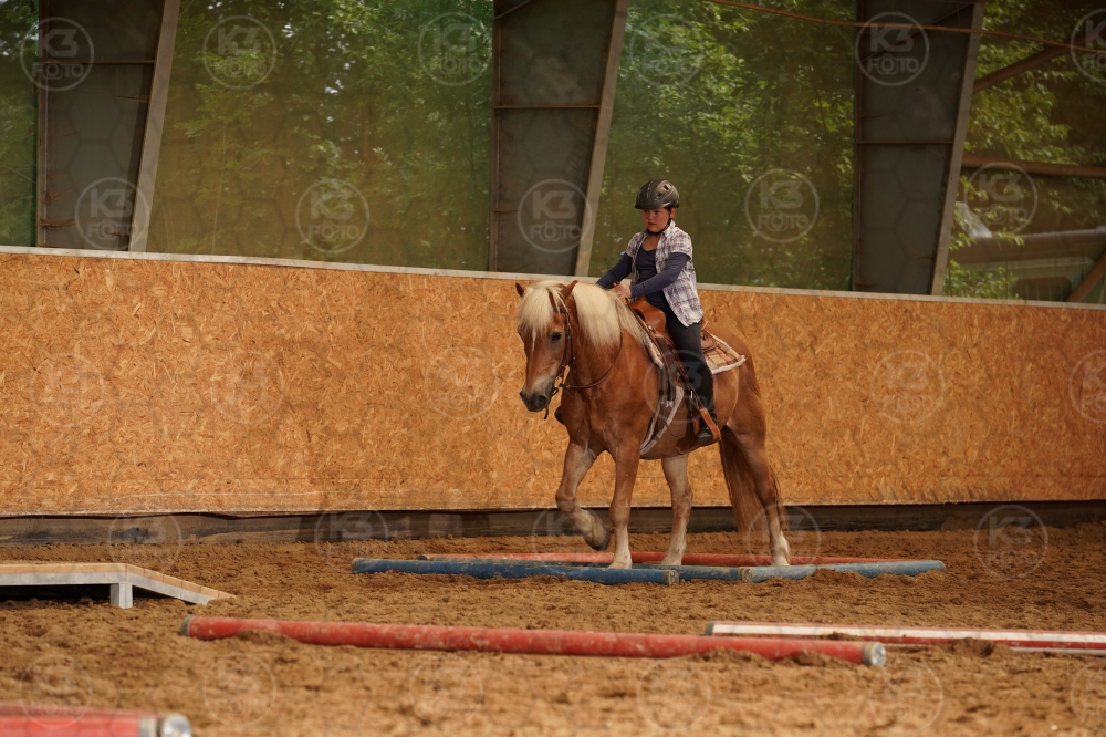 s_A9_08818.jpg